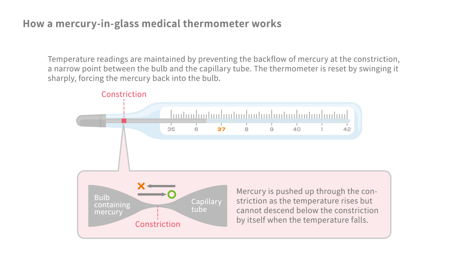 mercury thermometer