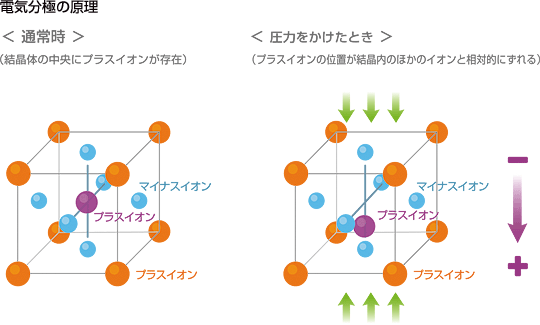 電池分極の原理