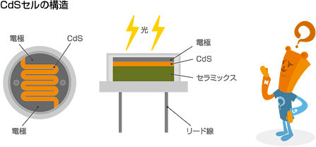 CdSセルの構造