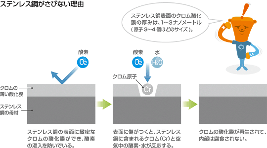 ステンレス鋼がさびない理由