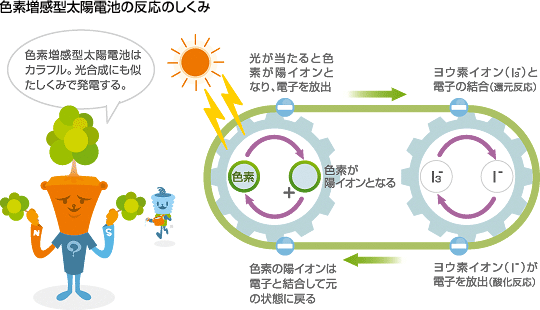 色素増感型太陽電池の反応のしくみ