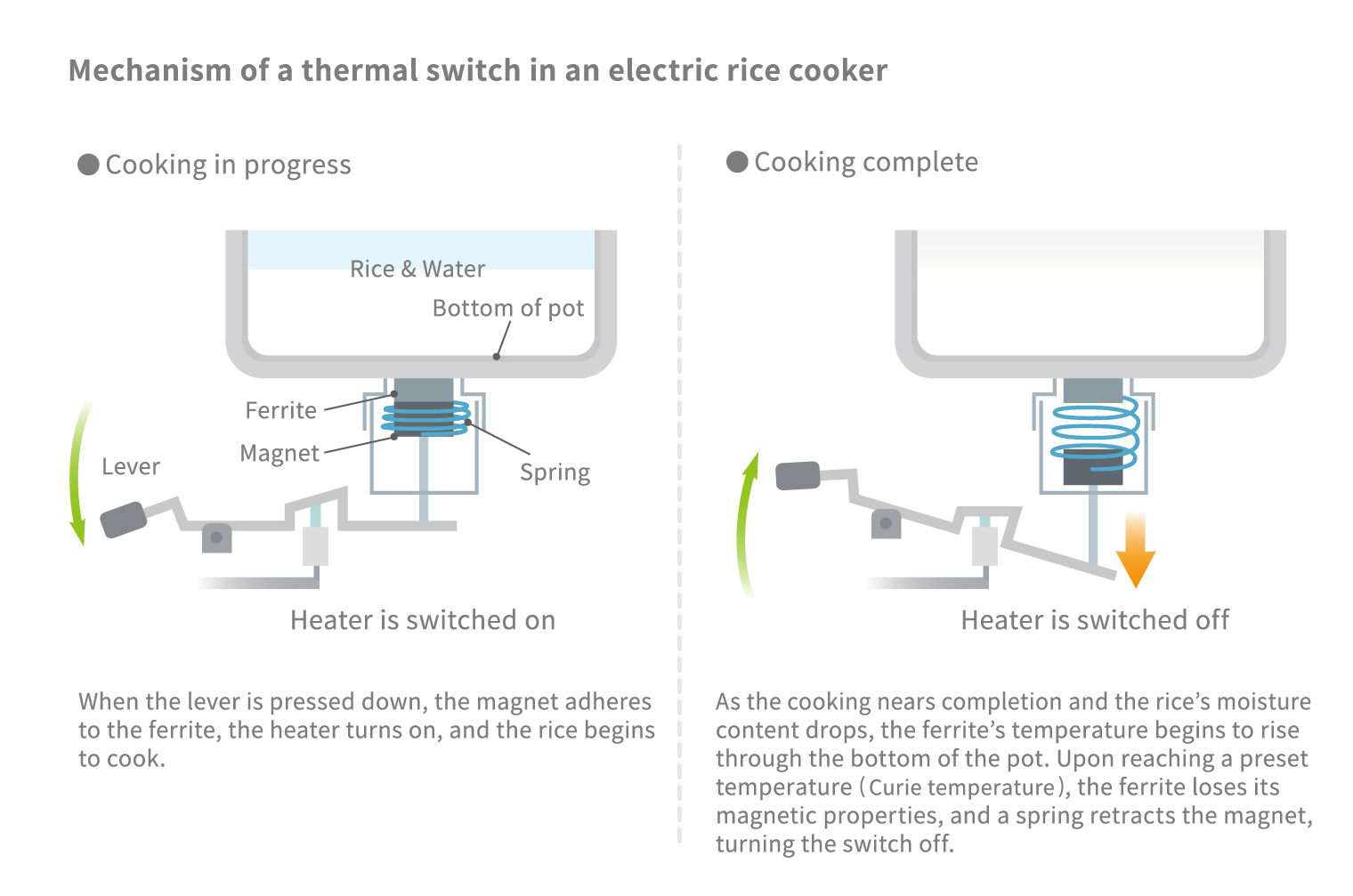 electric rice cookers thermal mechanism