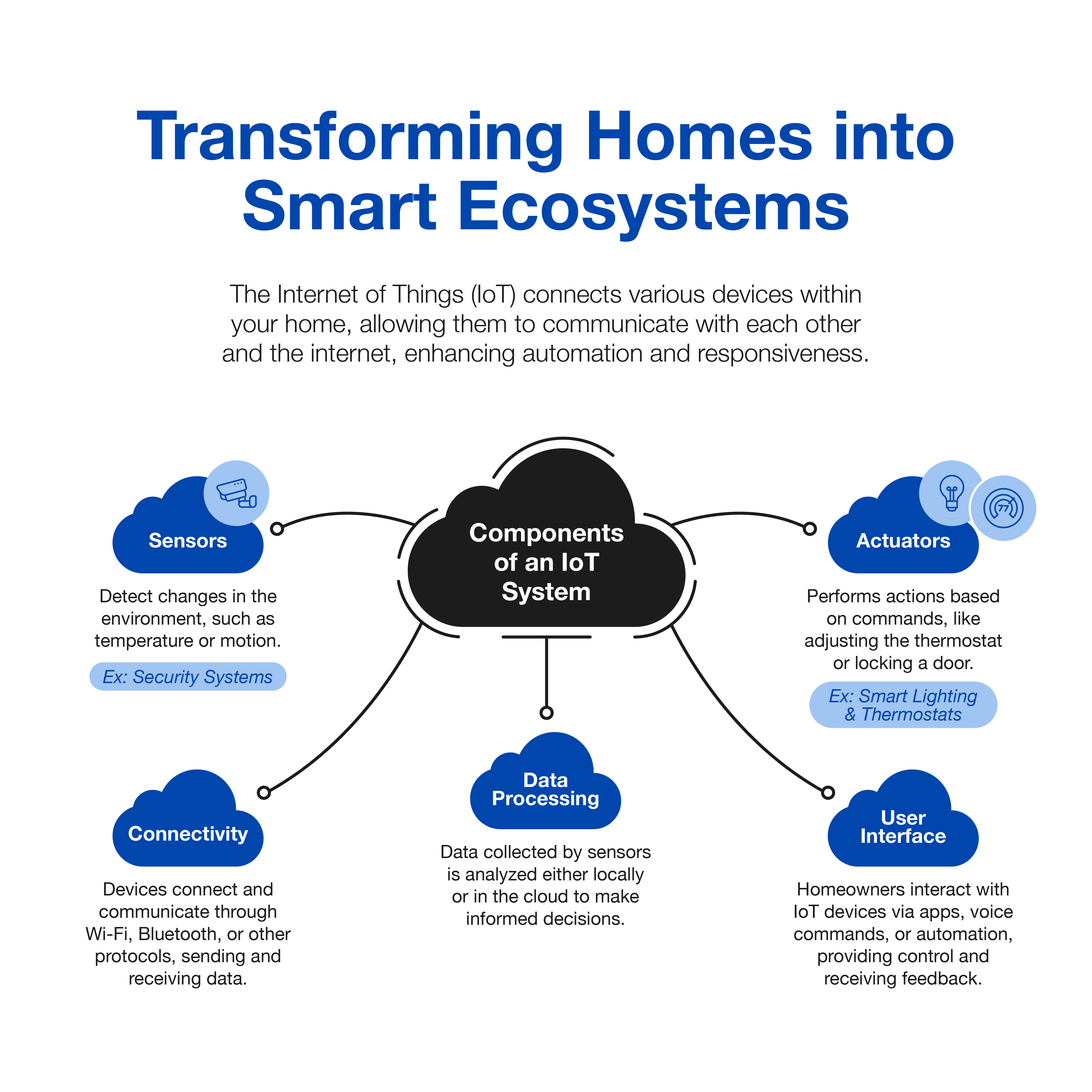 Iot System Infographic